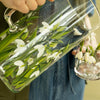Snowdrop Jug