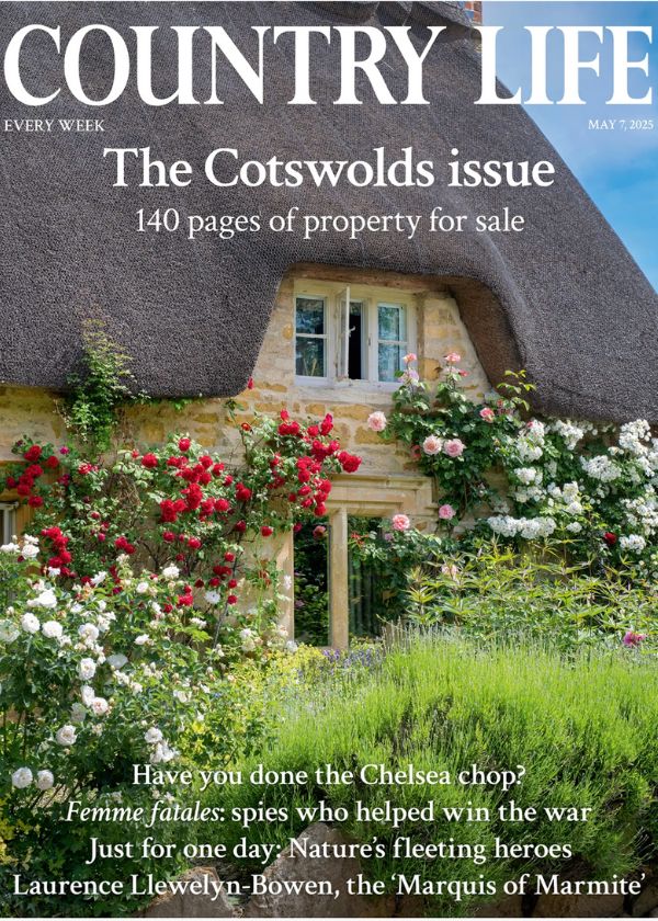 Country Life May 25
