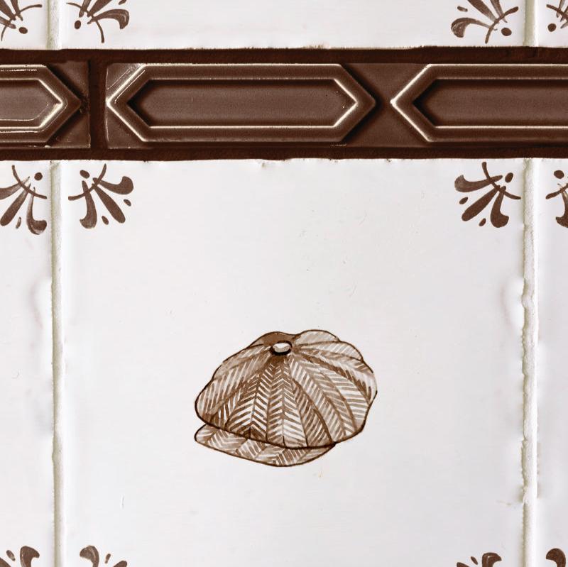 Buckle Delft Trim, Sepia