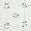 The Origin of Species Delft Tile